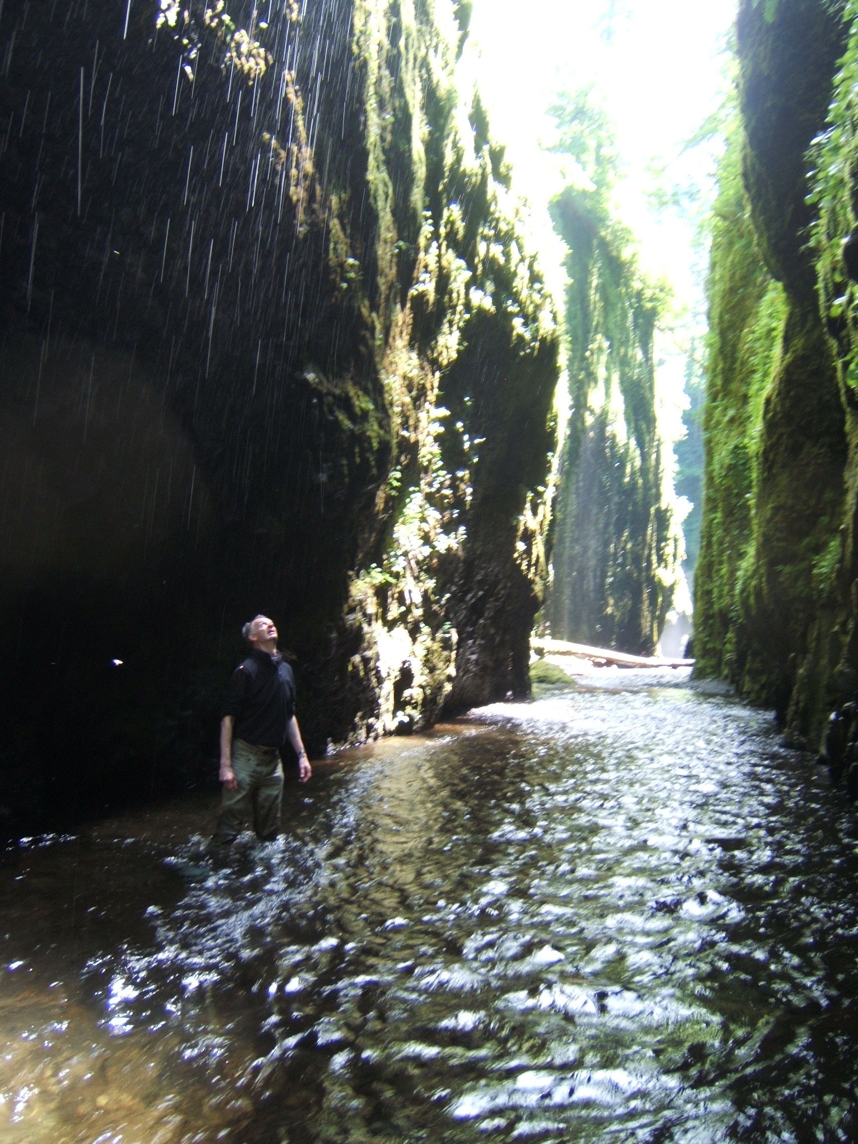 into the Oneonta Gorge