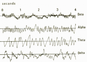EEG frequency bands