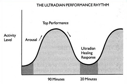 Ultradian rhythm: the BRAC (E.L.Rossi  -The 20 Minute Break