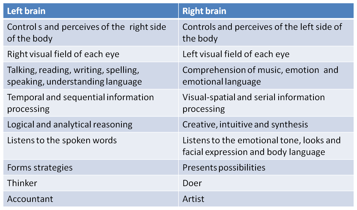 Left and right brain characteristics