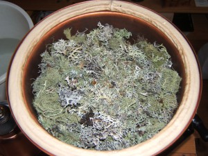 Distilling Oak moss