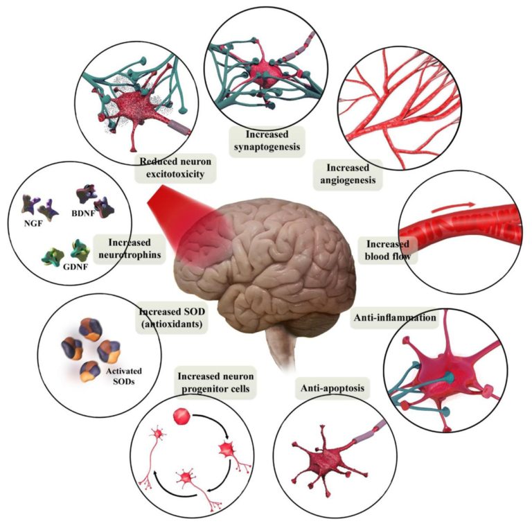 Brain therapy. Мозг терапи. Мозг терапия БАД. Препарат мозг терапи.